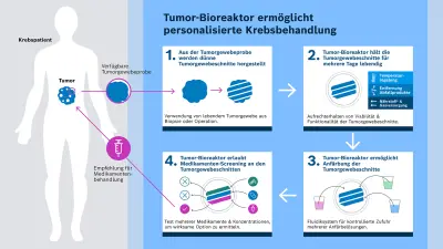 Grafische Darstellung von der Funktionsweise der personalisierten Krebsbehandlung mit dem Tumor-Bioreaktor.