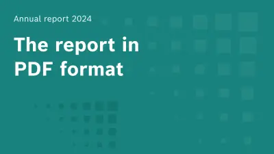 "Annual Report 2024, The report in PDF format" is written in white on a green background