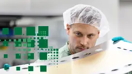 Naslovnica Bosch danes