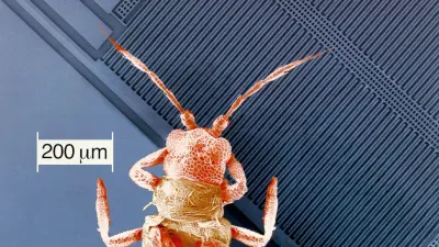 The mite appears relatively large compared to the filigree structure of a MEMS sensor, 1995.