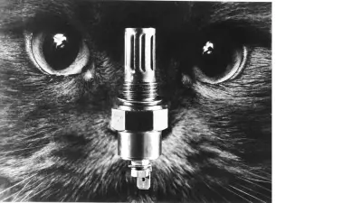 The face of a black cat from the front, with a long metal object positioned vertically in front of its nose.