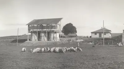 historia medioambiente bosch