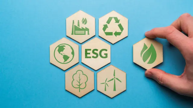 Seven hexagonal wooden discs arranged in a honeycomb with different symbols in green color. ESG is written on the pane in the middle.