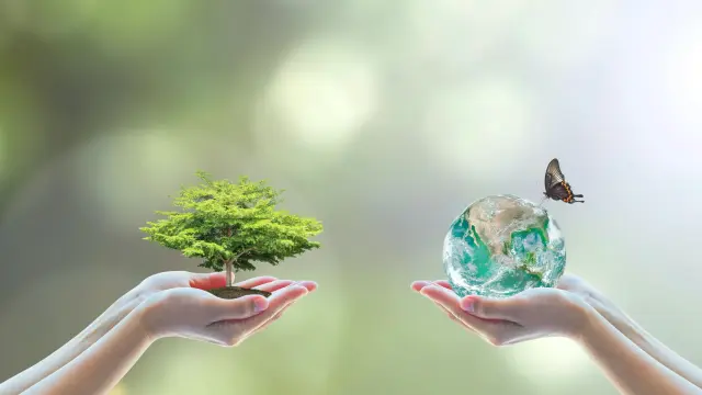 A pair of hands from the left holding a small tree and another pair of hands from the right holding a small globe over which a butterfly is flying.