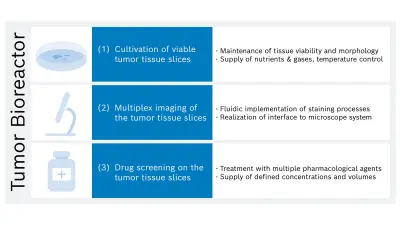 The three planned functions of the tumor bioreactor are shown in a graphic.