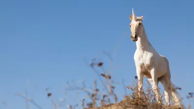 Unicorn stands on a hiltop.