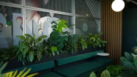 Patrick walks through green plants with his laptop under his arm.