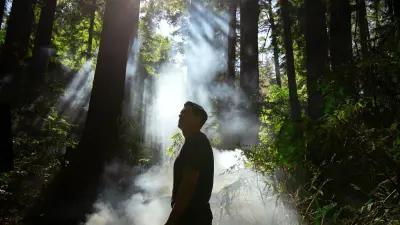 In the foreground, firefighter Ricky Staley is standing in a forest. The sun shines in the background, illuminating tendrils of fog drifting out from between the trees.