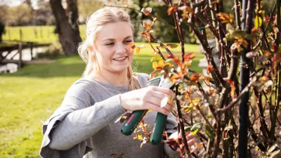Ellouise Hasler-Stott is cutting branches with the battery-powered gardening pruner EasyPrune by Bosch.
