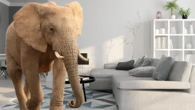 Example picture showing an elephant in a living room