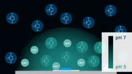 Process of pH modulation