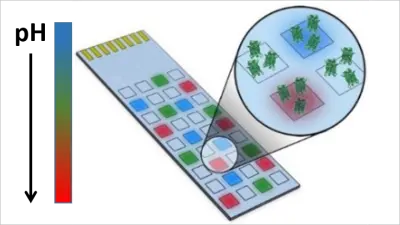 A disposable glass slide with electrodes and biomolecules attached to the surface with individually controlled pH microenvironments