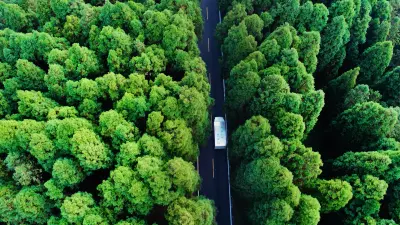 Ein weißer LKW fährt auf einer schmalen Straße durch einen Wald.