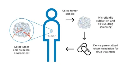 Innovative approach to personalize the treatment of solid tumors by drug screening. A tumor sample from the cancer patient is obtained from standard biopsy or surgical treatment. This tissue sample is used to generate a 3D tumor model, e.g. by cutting tumor slices or creating organoids. The 3D model, which mimics the solid tumor, is then cultivated and tested using different drug options outside the body (‘ex vivo’). The screening results observed enable an individual recommendation for the drug treatment of the cancer patient.