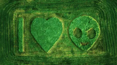Alien symbols in the grass