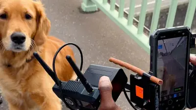 We see Frida the dog and the camera that is being filmed in the foreground. A dog treat is attached to the camera and Frida is looking intently at it.