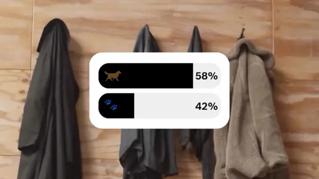 A survey bar shows the results: 58% for a dog silhouette and 42% for paw prints. In the background, several jackets are hung on a wooden wall.