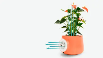 An orange Clairy flowerpot.