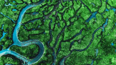 aerial view of meander river with affluents and green vegetation