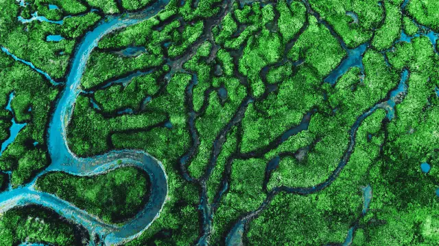 aerial view of meander river with affluents and green vegetation