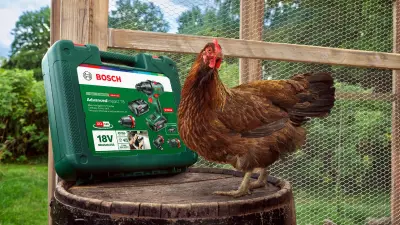 Chicken with power tool
