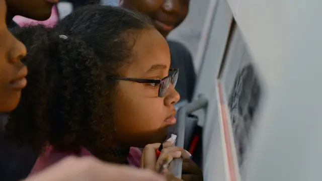 Girl taking a close look at an exhibition.