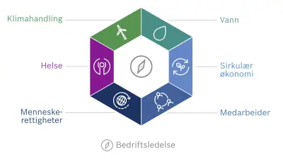 Grafisk fremstilling av Boschs bærekraftsvisjon. Visjonenes seks dimensjoner er vist i en sekskant: klimahandling, vann, sirkulær økonomi, medarbeider, menneskerettigheter og helse.